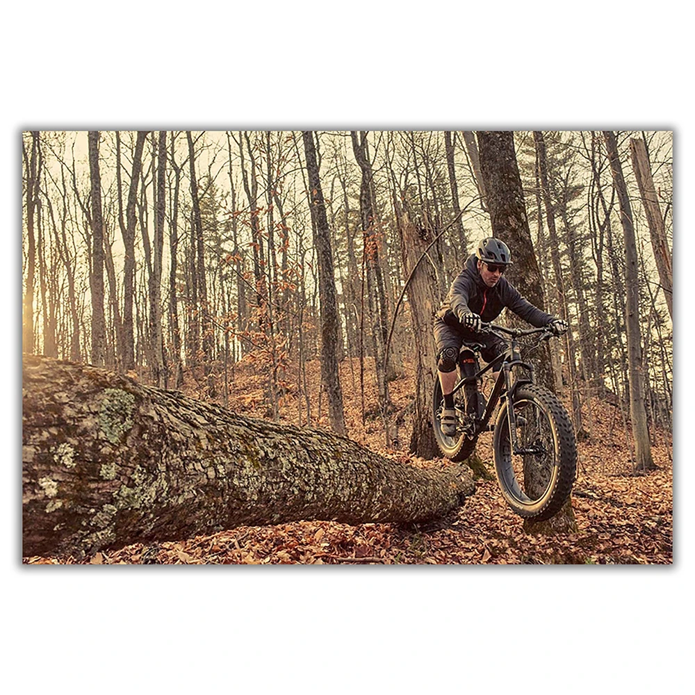 SP082 ملصق حائط من القماش الحر - مراجعة Mountain Biking Movies وسعره